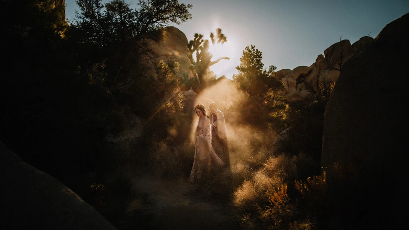 DVLOP – Gabe McClintock SONDER Preset Pack (Mobile + Desktop) - before_version_alt
