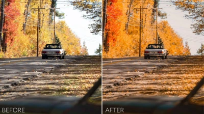 Sean Dalton - Autumn Tones Preset Pack