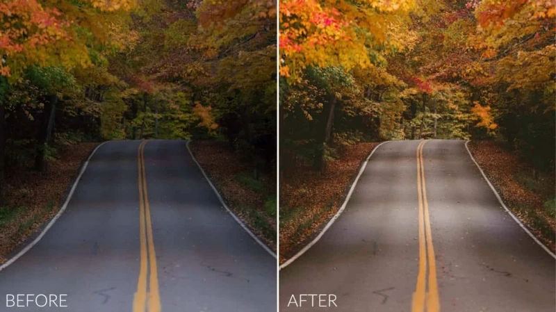 Sean Dalton - Autumn Tones Preset Pack