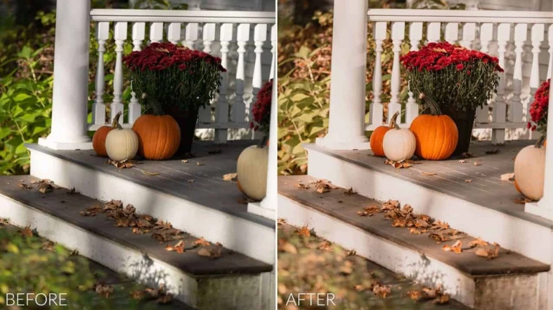 Sean Dalton - Autumn Tones Preset Pack