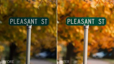 Sean Dalton - Autumn Tones Preset Pack