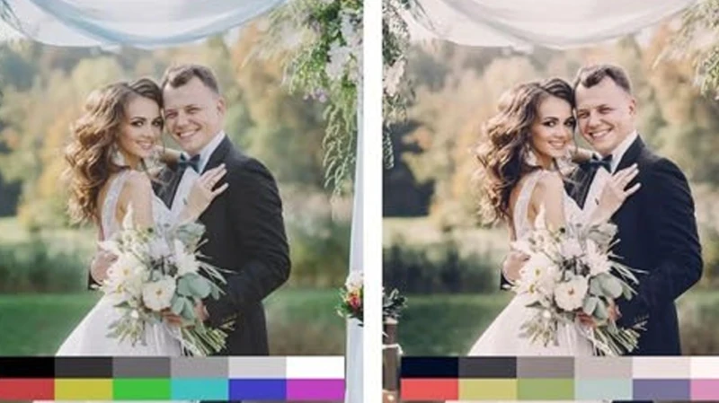 50 Wedding Mobile & Desktop Presets for Lightroom and LUTs