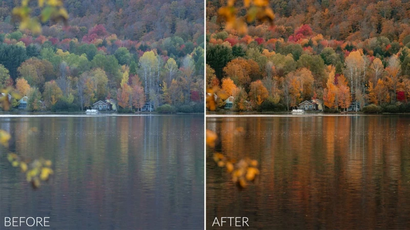 Sean Dalton - Complete Presets Bundle