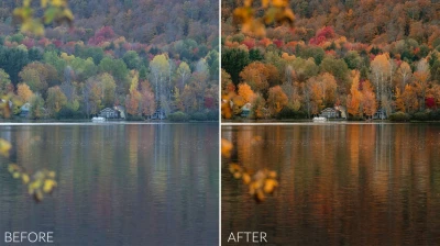 Sean Dalton - Complete Presets Bundle