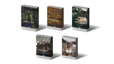 Sean Dalton - Complete Presets Bundle