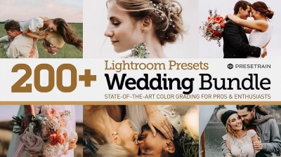 CreativeMarket 200 Wedding Presets Bundle 6172458