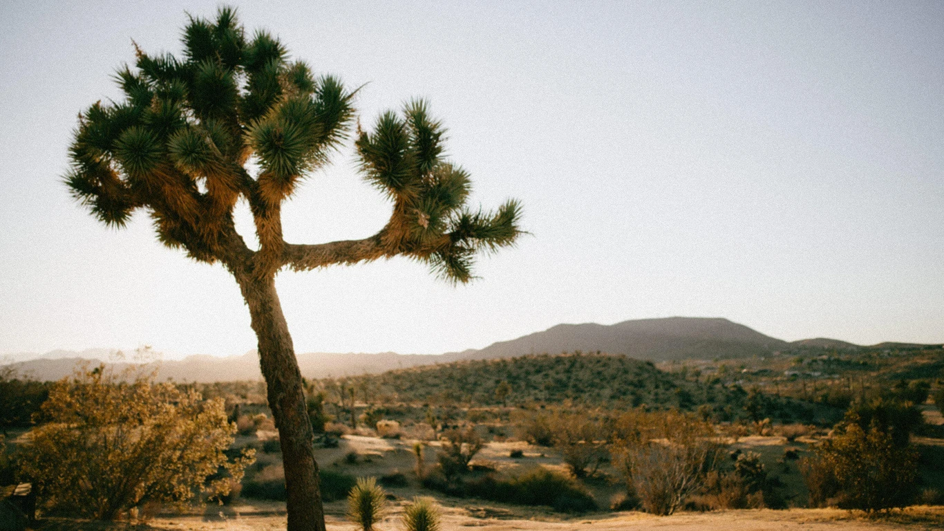 G-Presets Analog Days – Lightroom Presets Collection (Mobile + Desktop) - after_version_alt