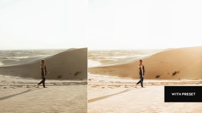 Arta Weekend Presets – Lightroom Presets Collection (Mobile + Desktop)