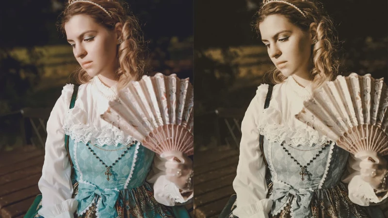 20 Victorian Lightroom Presets & LUTs