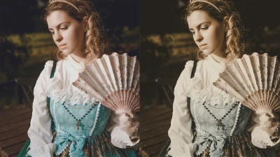20 Victorian Lightroom Presets & LUTs