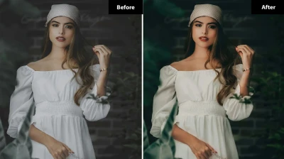 6 Elegant Wedding Lightroom and Photoshop Presets