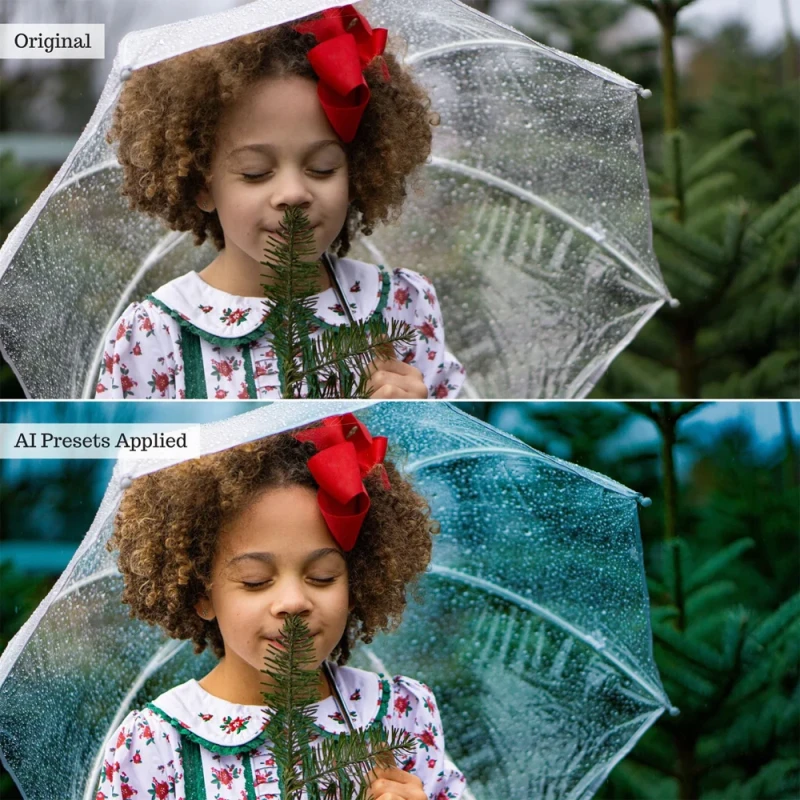 The Luxe Lens Luxe Portrait AI Adaptive Retouch Toolkit