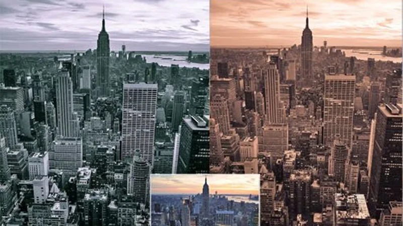 Black White Presets