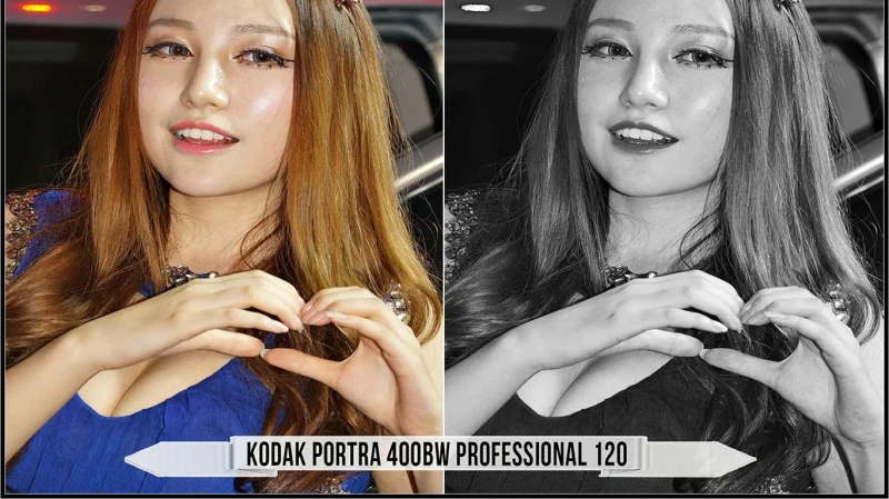 Eastman Kodak Black and White Films LUTs