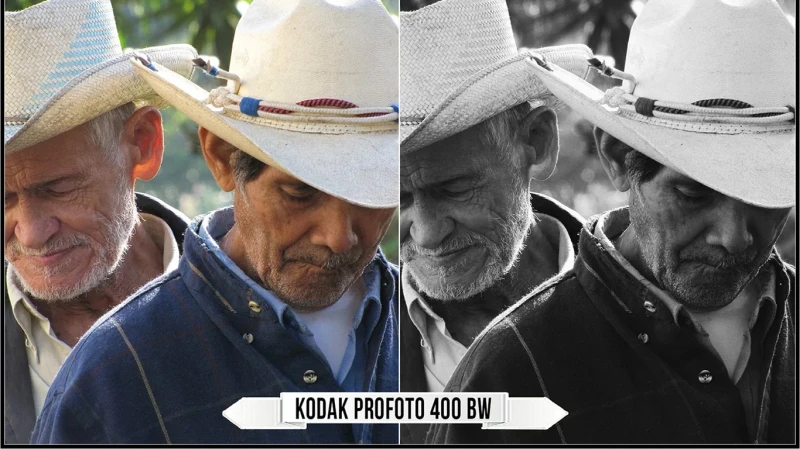 Eastman Kodak Black and White Films LUTs