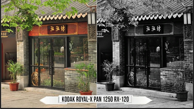 Eastman Kodak Black and White Films LUTs