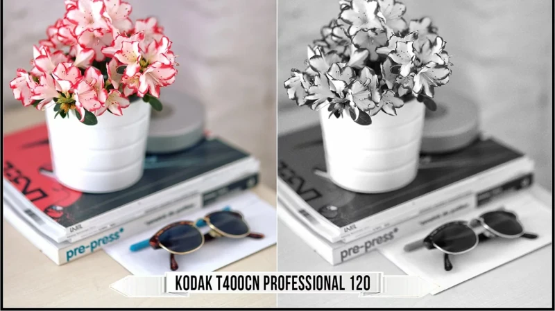 Eastman Kodak Black and White Films LUTs