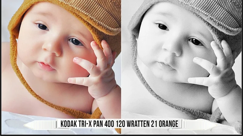 Eastman Kodak Black and White Films LUTs