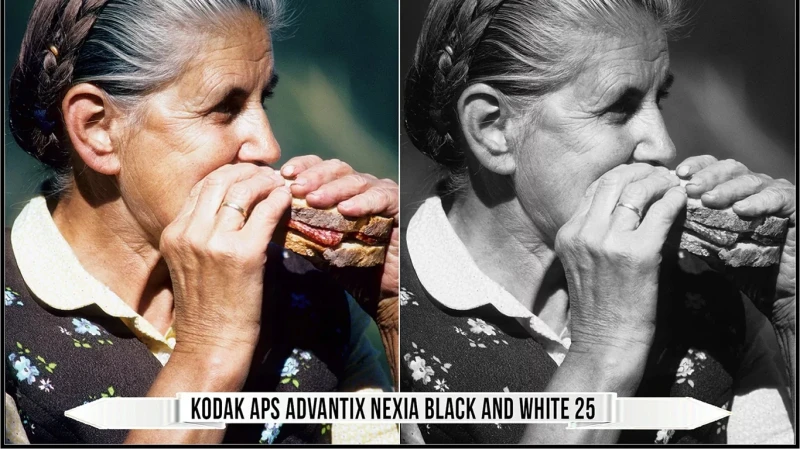 Eastman Kodak Black and White Films LUTs