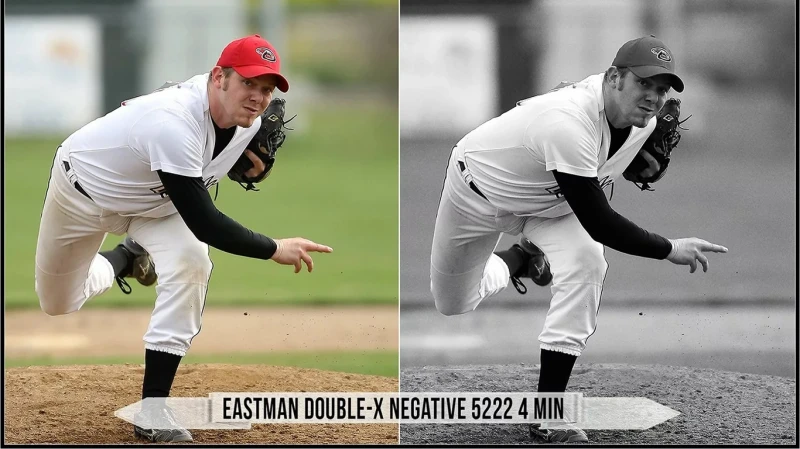 Eastman Kodak Black and White Films LUTs