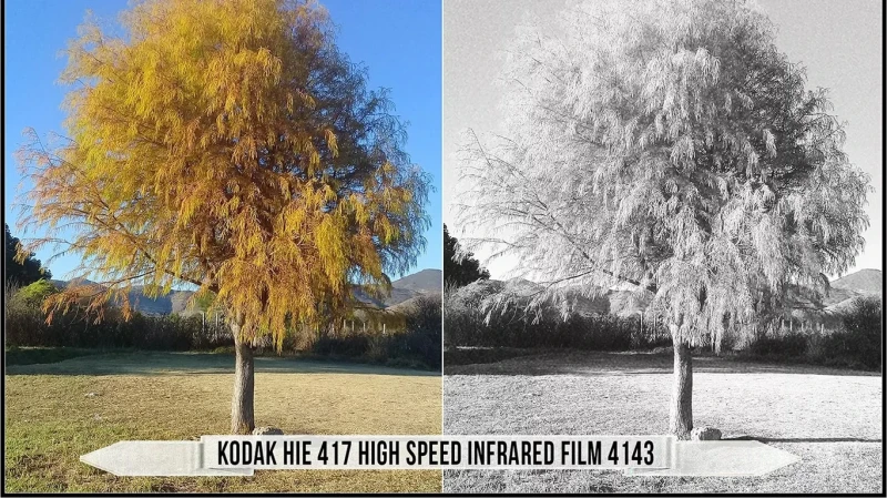 Eastman Kodak Black and White Films LUTs