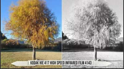Eastman Kodak Black and White Films LUTs
