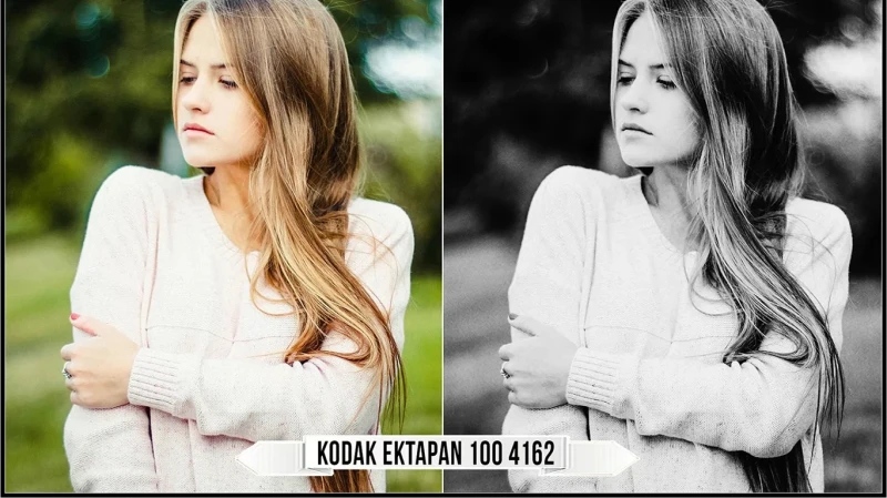 Eastman Kodak Black and White Films LUTs