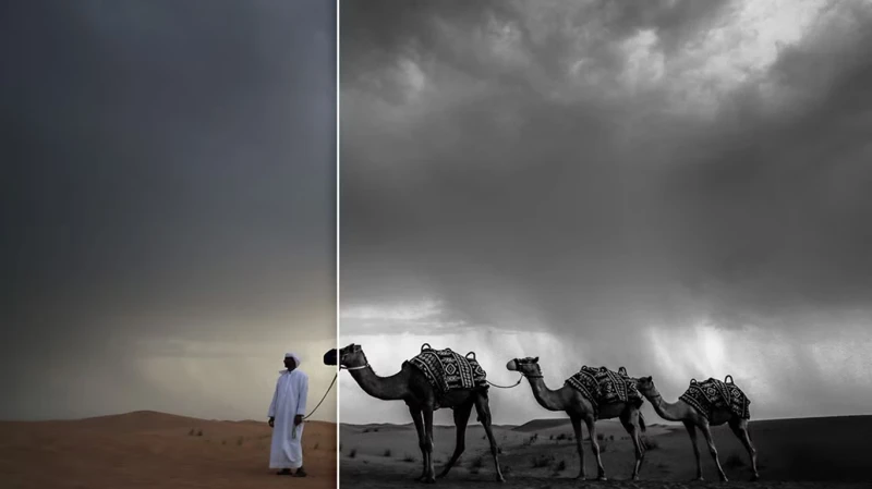 Lightroom Powerful Black White