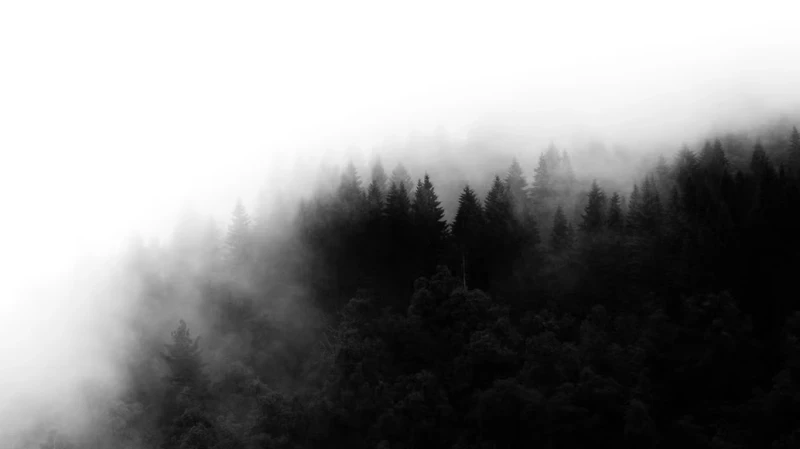 Lightroom Powerful Black White