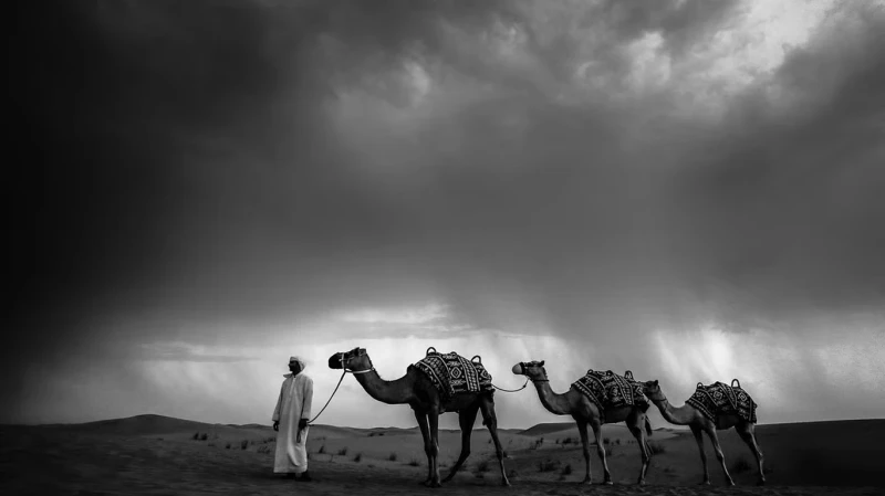 Lightroom Powerful Black White