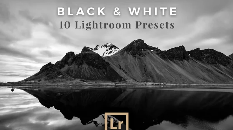 Lightroom Powerful Black White Image 1