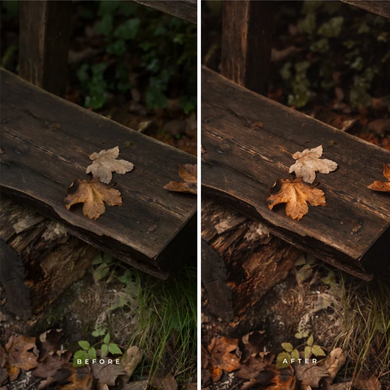 Alex Pantela Wilderness Presets