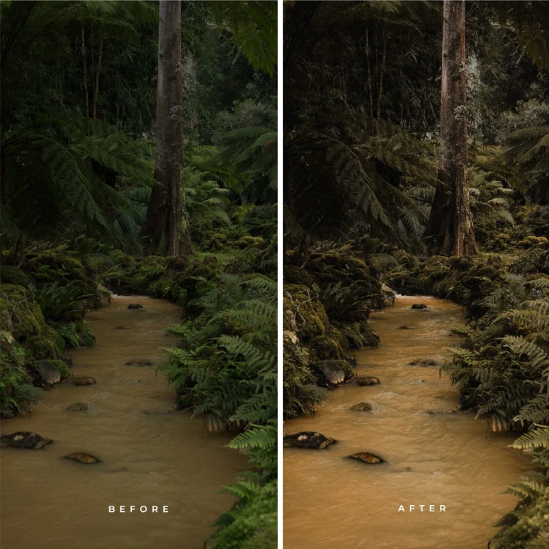 Alex Pantela Wilderness Presets