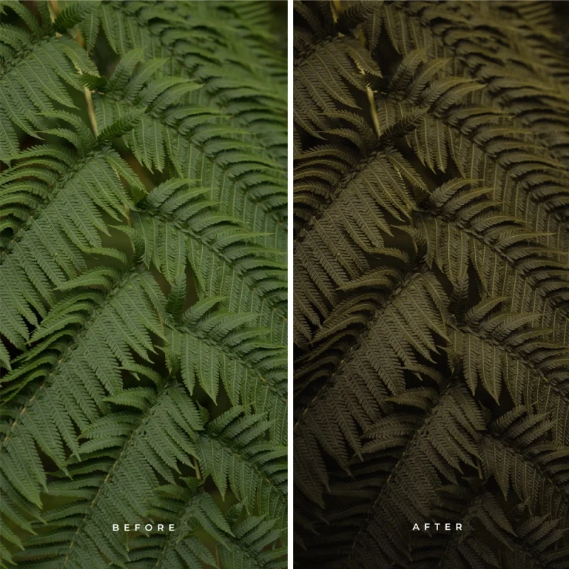 Alex Pantela Wilderness Presets