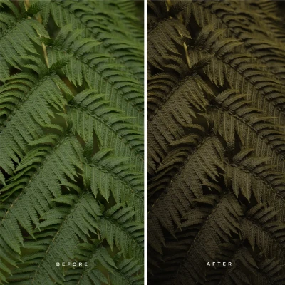 Alex Pantela Wilderness Presets