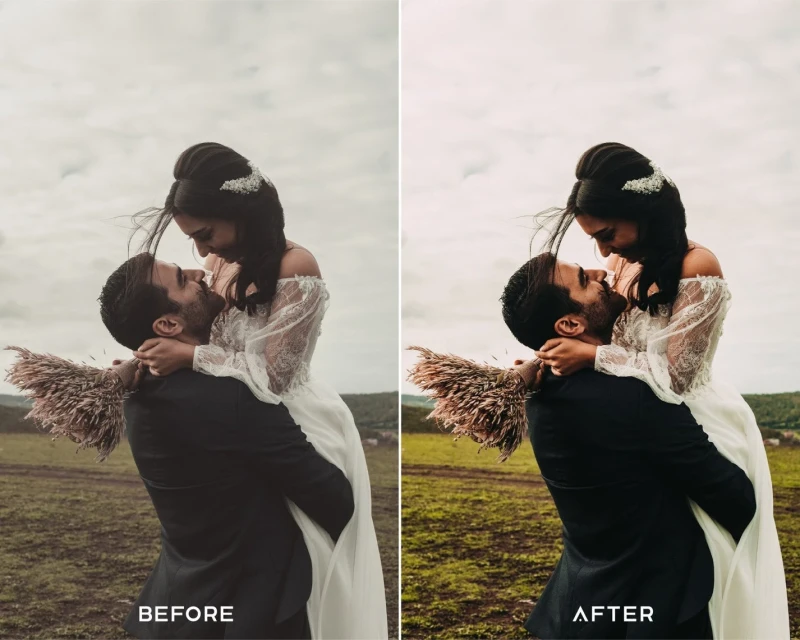 PresetsIO V Elopement Preset Collection