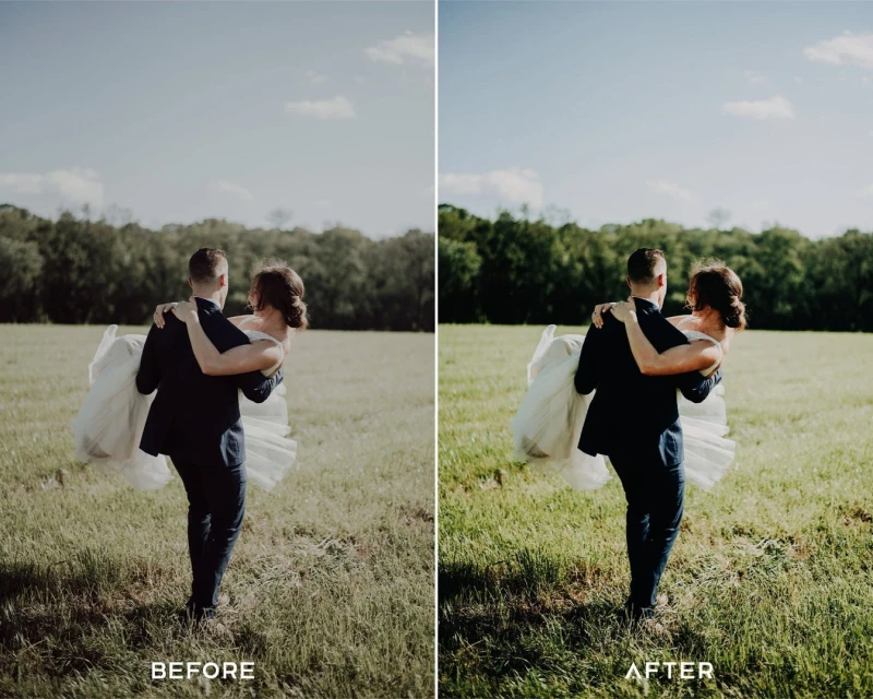 PresetsIO V Elopement Preset Collection