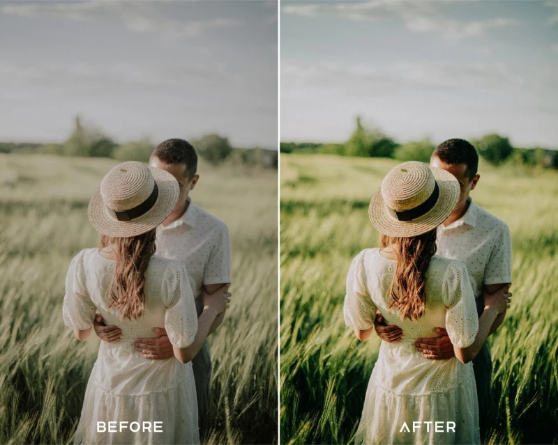 PresetsIO V Elopement Preset Collection