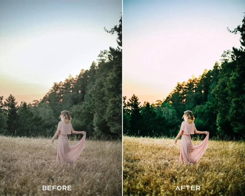PresetsIO V Elopement Preset Collection