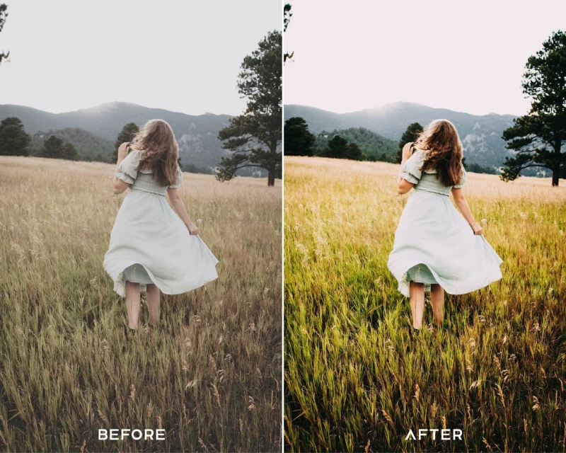 PresetsIO V Elopement Preset Collection