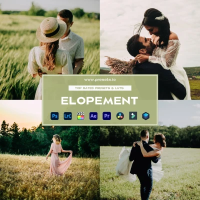 PresetsIO V Elopement Preset Collection