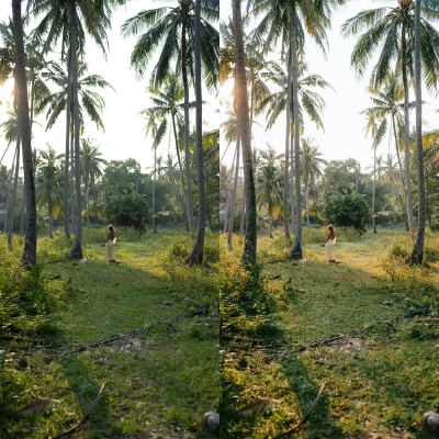 Itijarve True Preset Pack