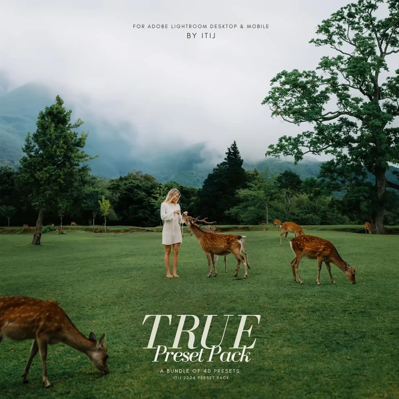 Itijarve True Preset Pack Image 1