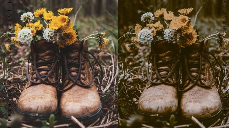 CreativeMarket The Bundle 100 Lightroom Presets