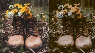 CreativeMarket The Bundle 100 Lightroom Presets
