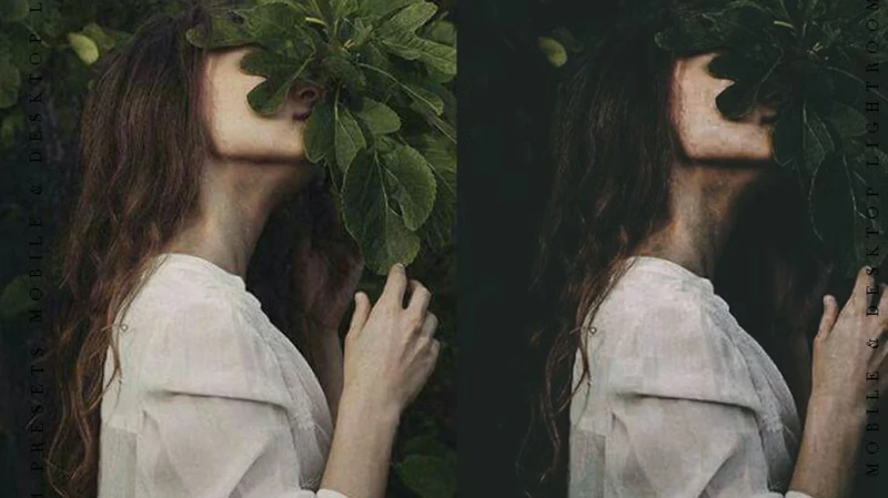 CreativeMarket The Bundle 100 Lightroom Presets