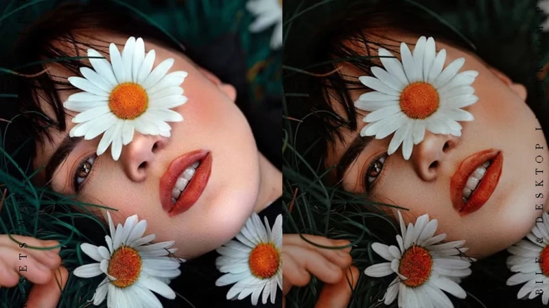 CreativeMarket The Bundle 100 Lightroom Presets