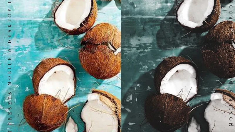 CreativeMarket The Bundle 100 Lightroom Presets