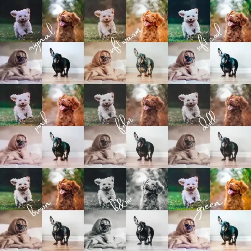 Shutterhound Variety Pet Lightroom Presets Image 1