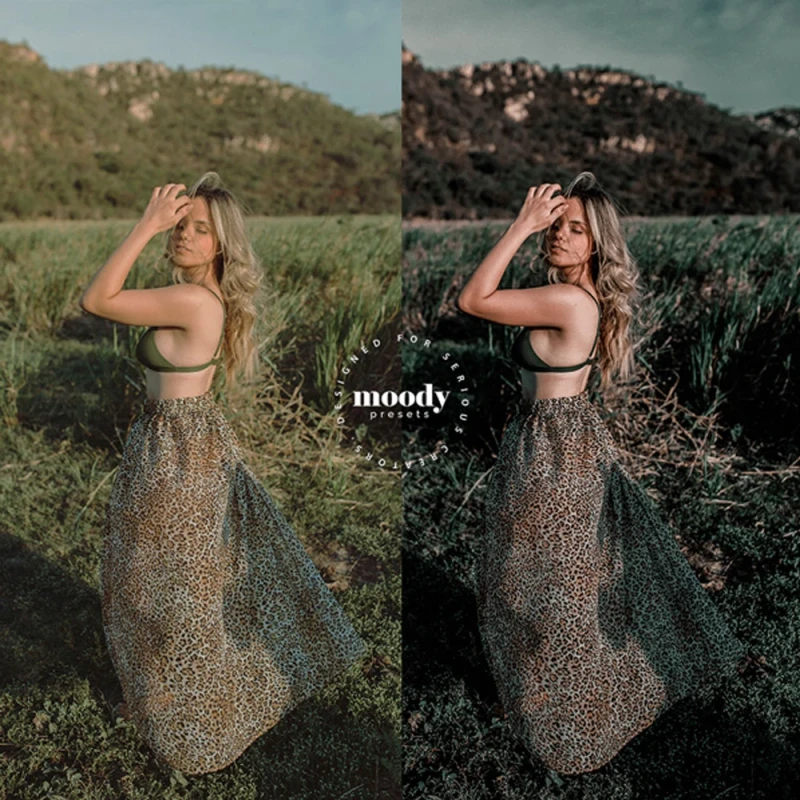 Moody Presets Master Collection Pack of 282 Presets